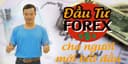 Đầu tư Forex cho người mới bắt đầu