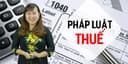 Pháp luật thuế