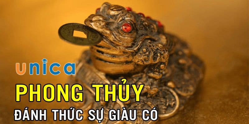 Phong thủy đánh thức sự giàu có
