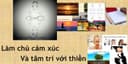 Tham, Sân, Si và Thiền trong quản trị cảm xúc