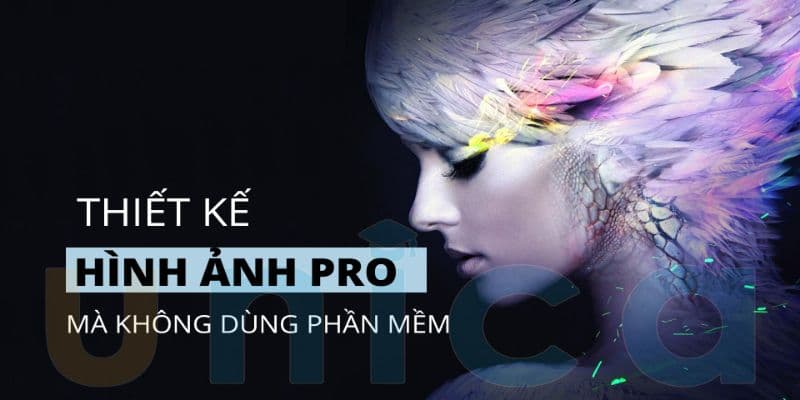 Thiết Kế Hình Ảnh Pro Mà Không Dùng Phần Mềm 