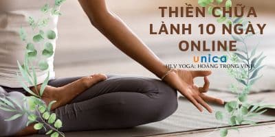 Thiền Chữa Lành 10 Ngày Online - Hoàng Trọng Vinh 