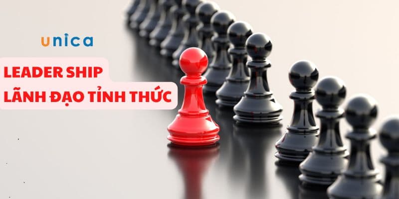 LEADERSHIP - Lãnh Đạo Tỉnh Thức