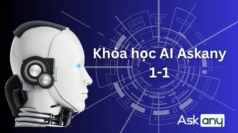 Học kinh doanh và kiếm tiền MMO (test)