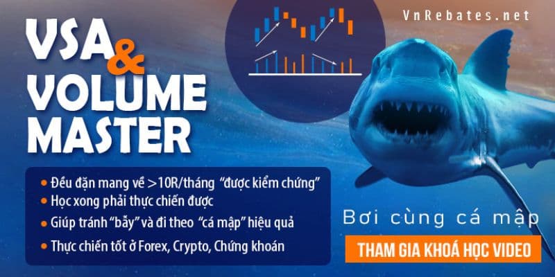 VSA + Volume Bơi Cùng Cá Mập