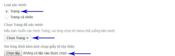 Lựa chọn loại xác minh Fanpage hoặc Facebook cá nhân