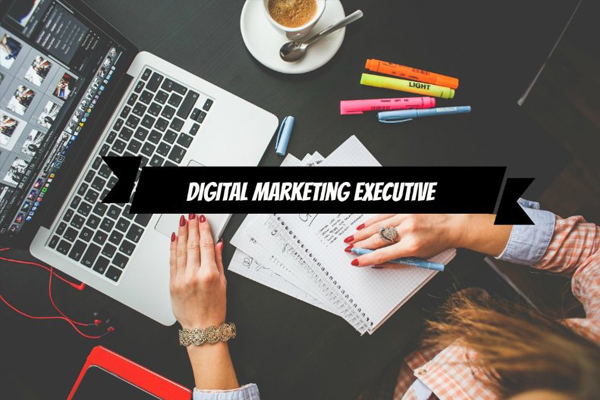 Digital Marketing Executive là gì? 4 nhiệm vụ quan trọng của một DMEer