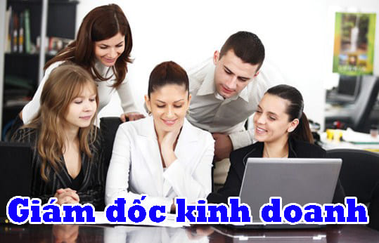 giám đốc kinh doanh