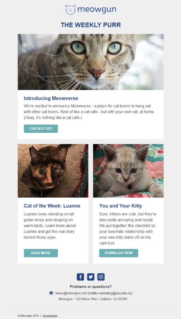 email marketing mẫu