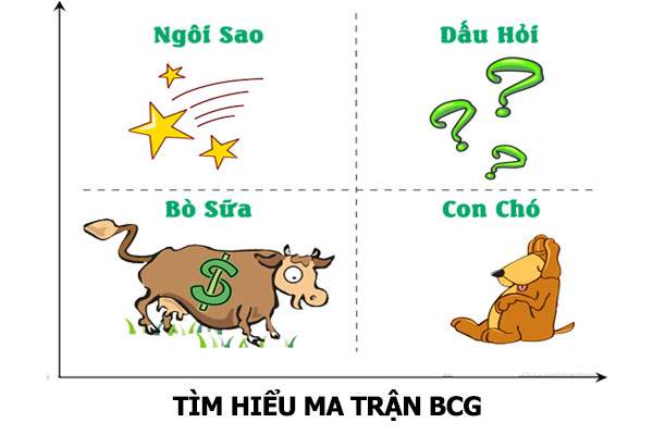 thi-phan-la-gi-2.jpg