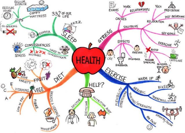 Cách Vẽ Sơ Đồ Tư Duy Đẹp Mắt, Dễ Nhớ Dễ Học Bạn Nên Biết