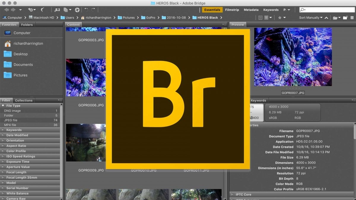 Adobe Bridge được rất nhiều người dùng sử dụng