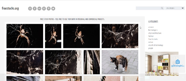 Website ảnh dành cho Designer - Free stocks