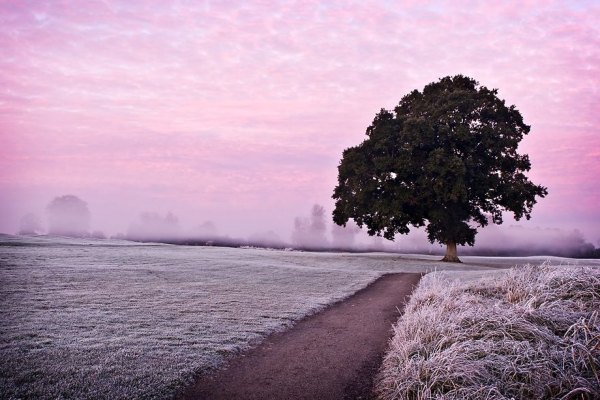 Nguyên tắc chụp ảnh tối giản