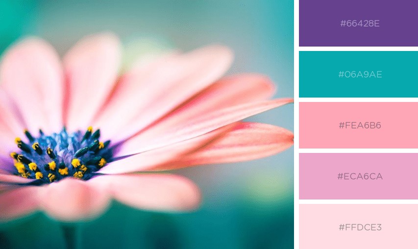 Bảng màu hồng Pastel với tím
