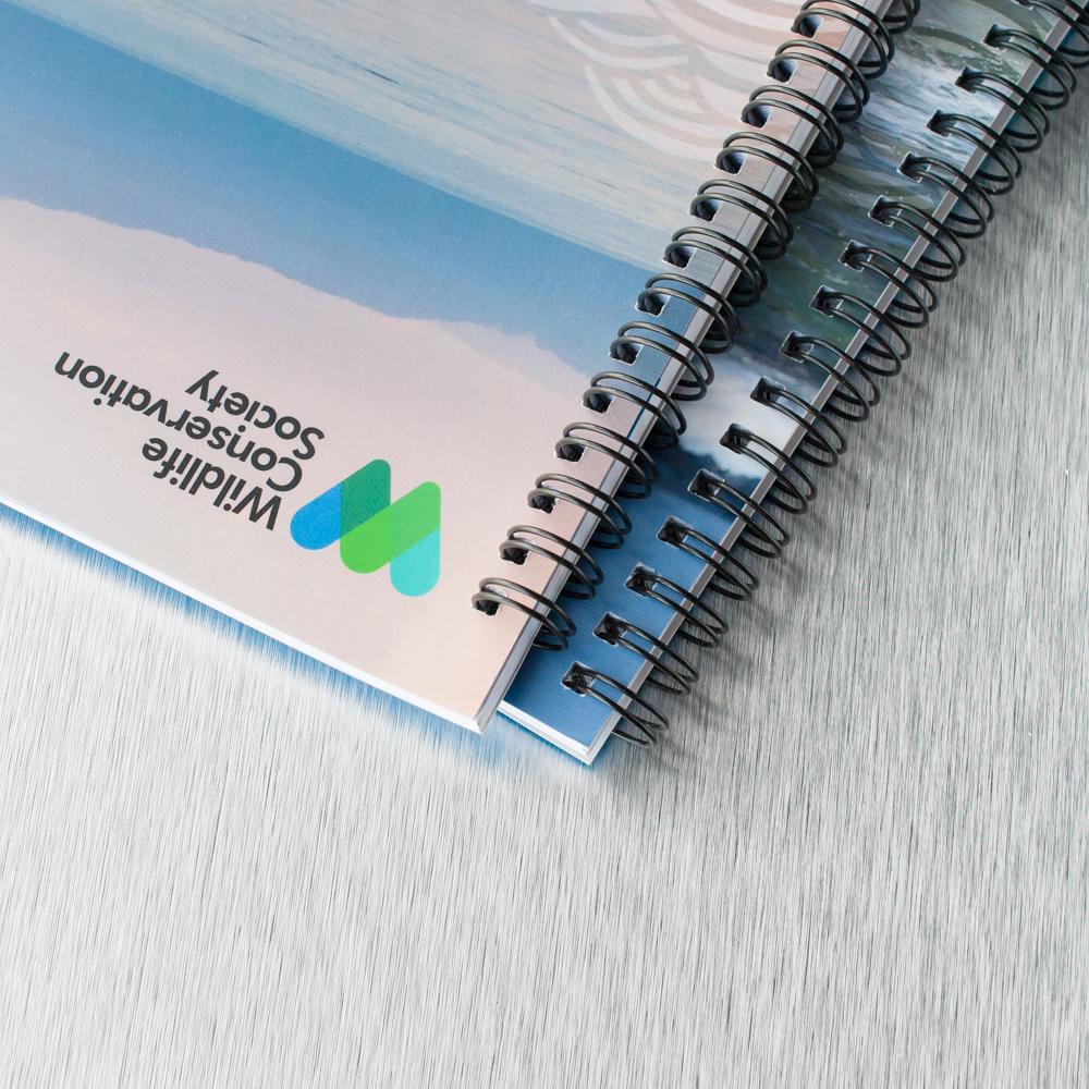 Ví dụ về gáy lò xò của booklet