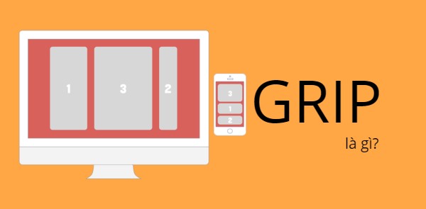 Grid là gì? Grip được chia thành các dạng phổ biến nào