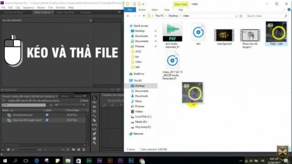 cach-crop-video-trong-Premiere-3