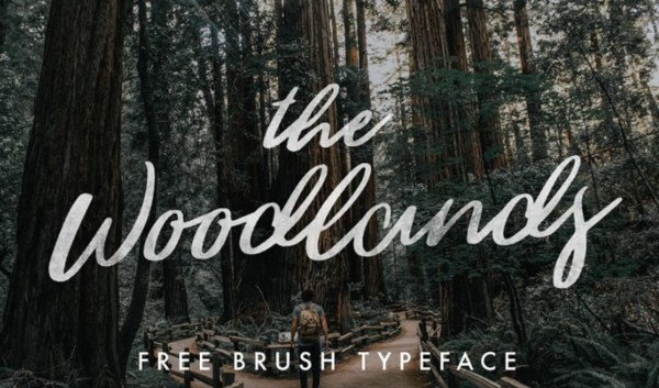 Font Việt hóa Woodlands