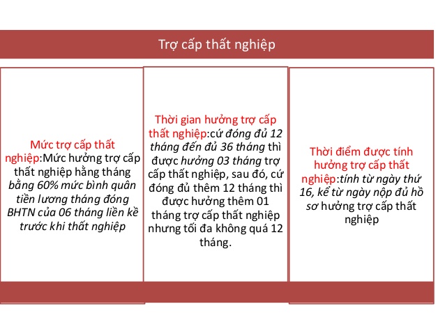 Tìm hiểu chi tiết về trợ cấp thất nghiệp