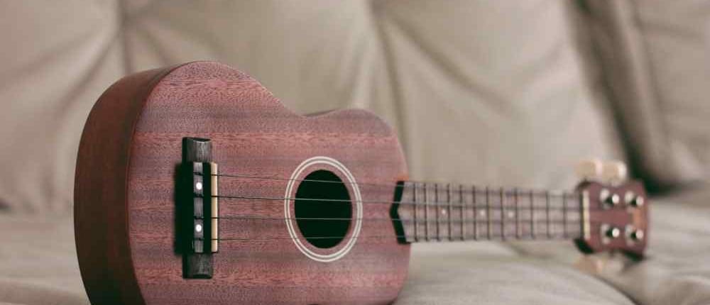 cach-chon-dan-ukulele-3