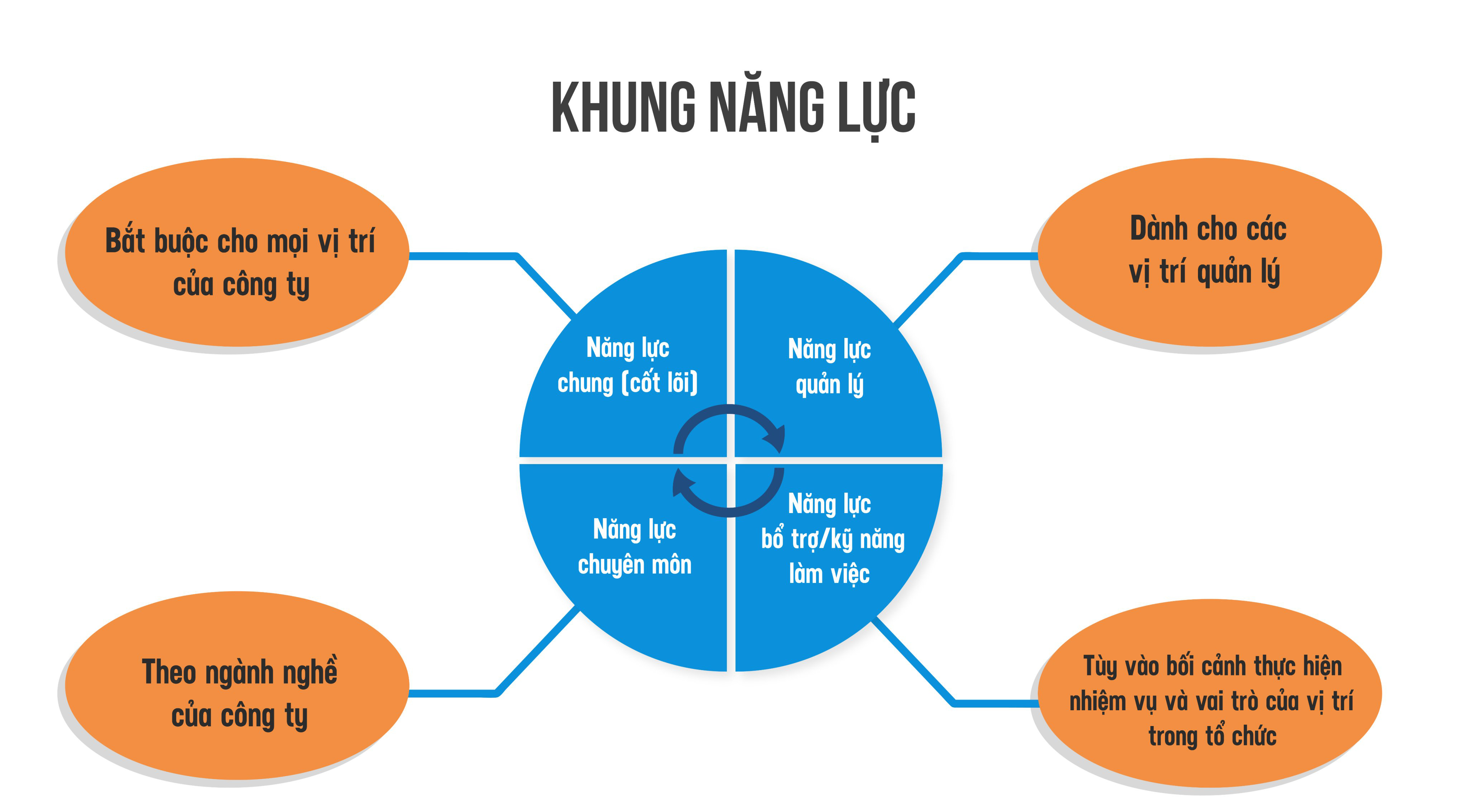 Cách xây dựng khung năng lực cho doanh nghiệp hiệu quả