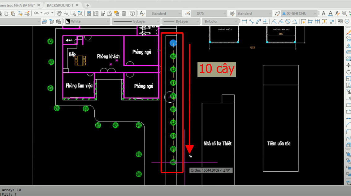 Copy cây hàng loạt