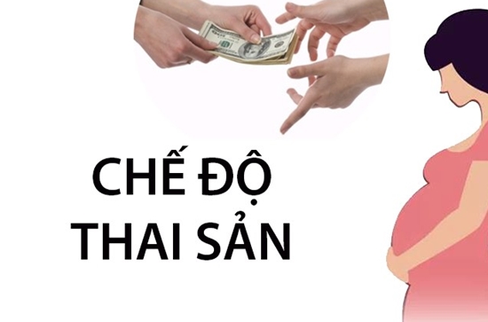 che-do-thai-san-2019.jpg