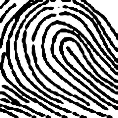 Vân tay nước nên làm nghề gì