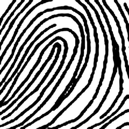 Chủng nước ngược