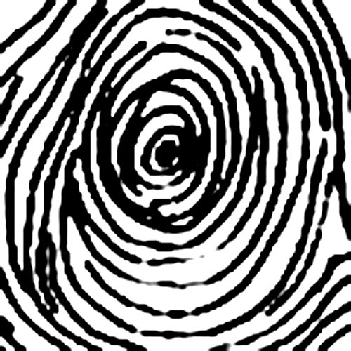 Chủng vân tay Concentric Whorl