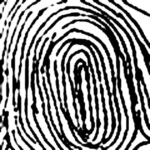 Chủng vân tay Press Whorl