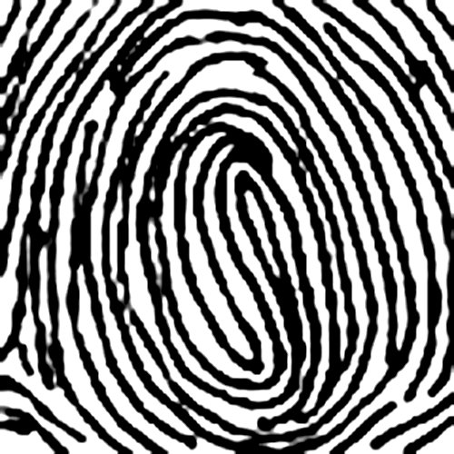 Chủng vân tay Imploding Whorl