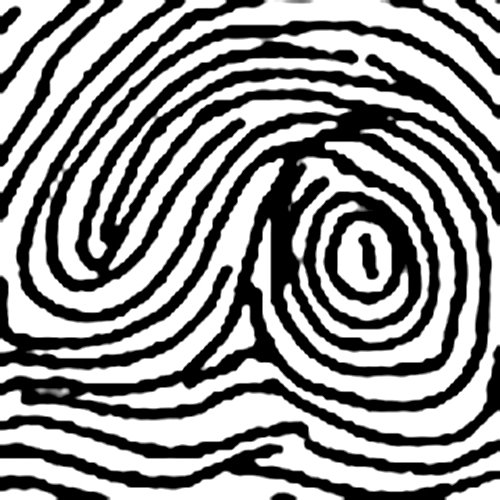 Chủng vân tay Variant