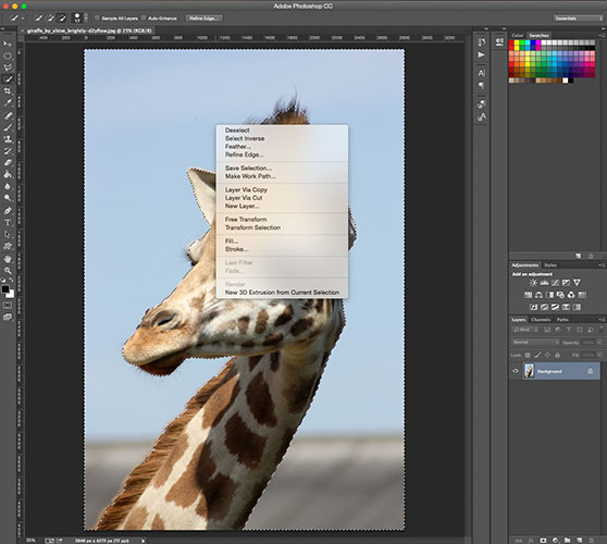 tach-background-select-inverse.jpg