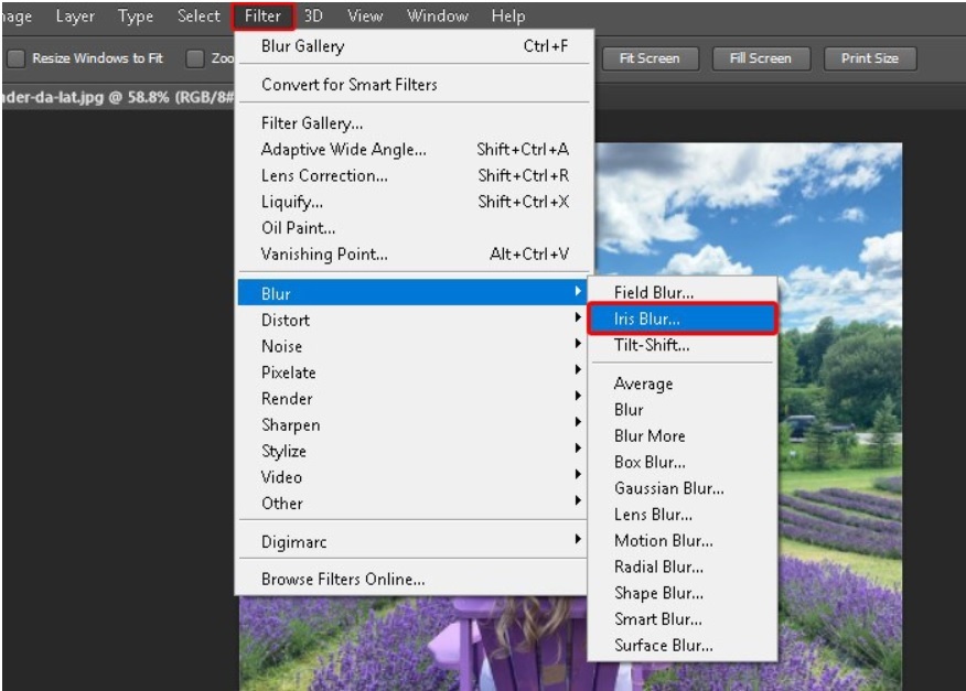 Làm mờ bằng công cụ Iris Blur