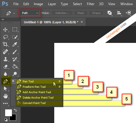 Cách sử dụng Pentool