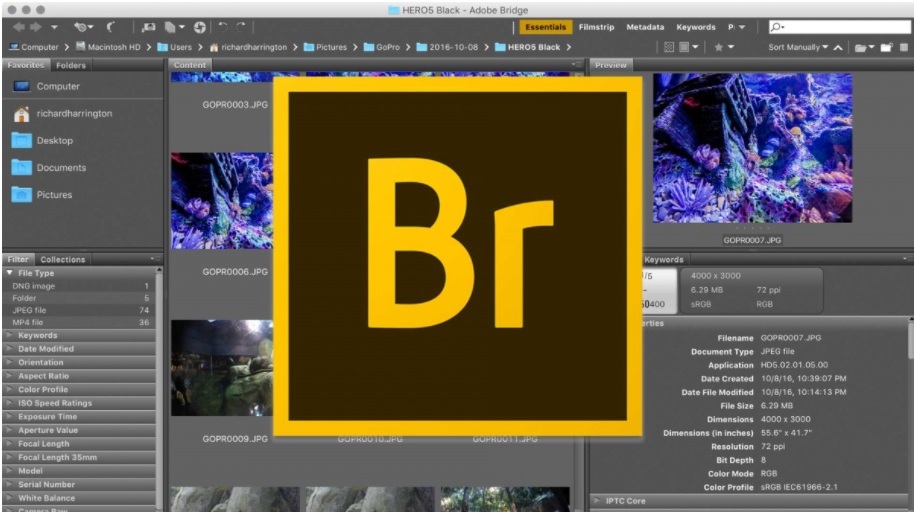 Giao diện Adobe Bridge
