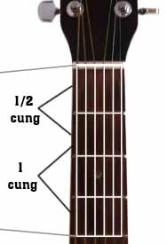 cac-not-tren-cay-dan-Guitar.jpg