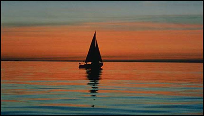 Áp dụng nguyên tắc chụp ảnh 1/3 khi chỉnh sửa ảnh