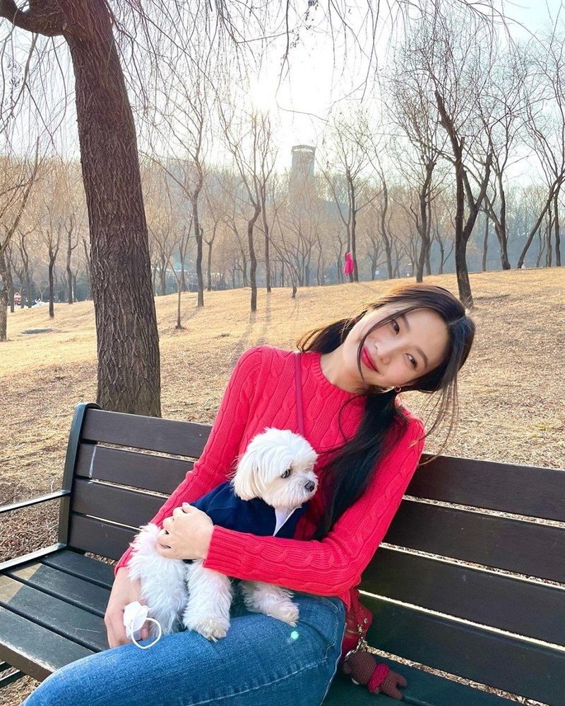 Tránh chụp khi ánh sáng yếu, ngược sáng