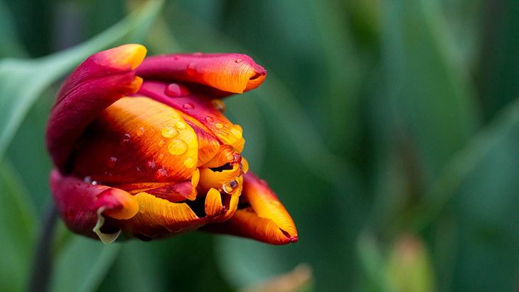 Tiêu cự ảnh hưởng đến độ mở