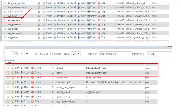 Thay doi URl website tren phpMyAdmin