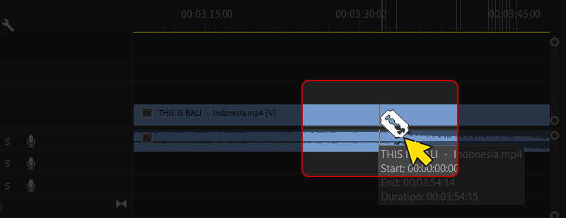 cat-Video-Adobe-Premiere-6.png?v