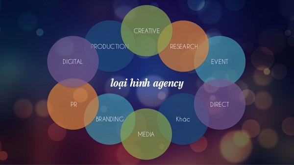 loai hinh agency