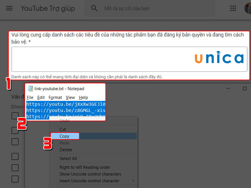 cach dang ky ban quyen youtube 10