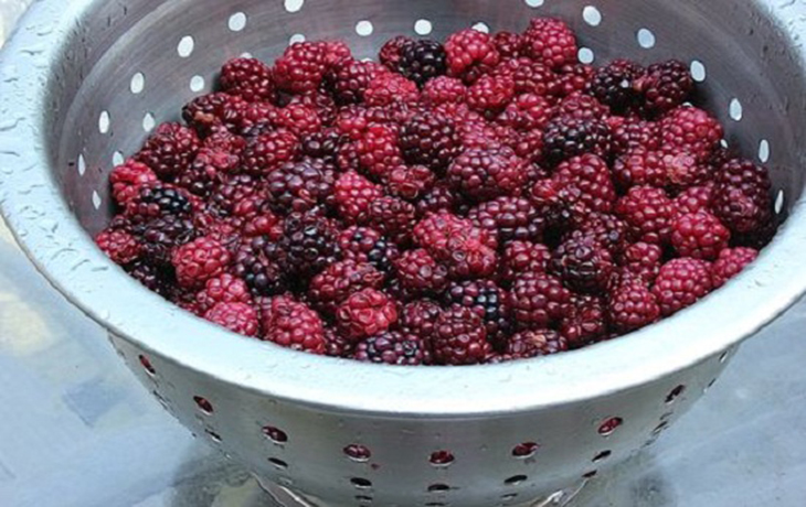 cach-lam-dau-tam-2.jpg?