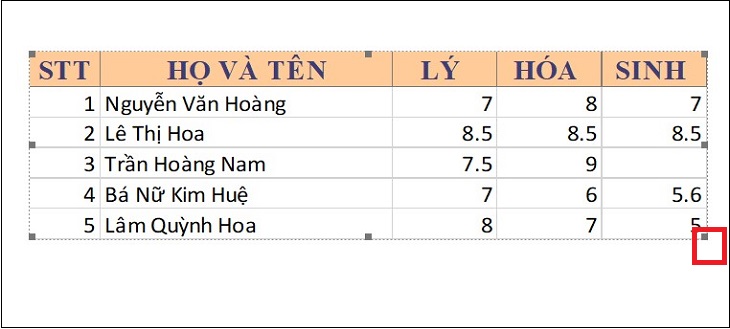 cach-chuyen-file-excel-sang-word-5.jpg?