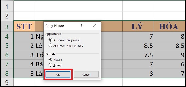 Thao tác trong hộp thoại Copy Picture
