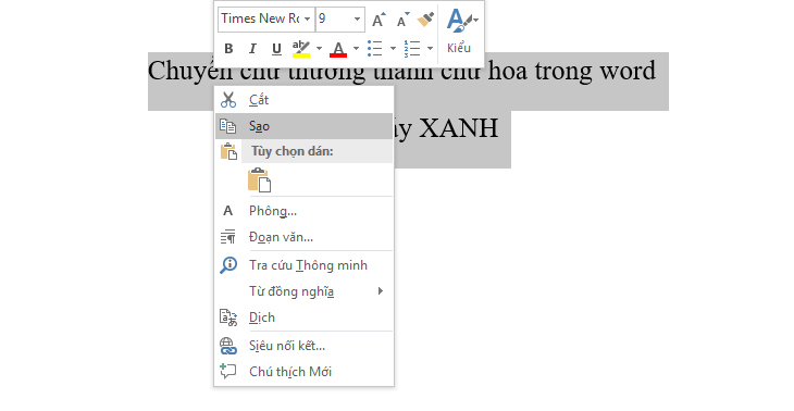 chuyen-chu-thuong-thanh-chu-hoa-trong-word-1.jpg